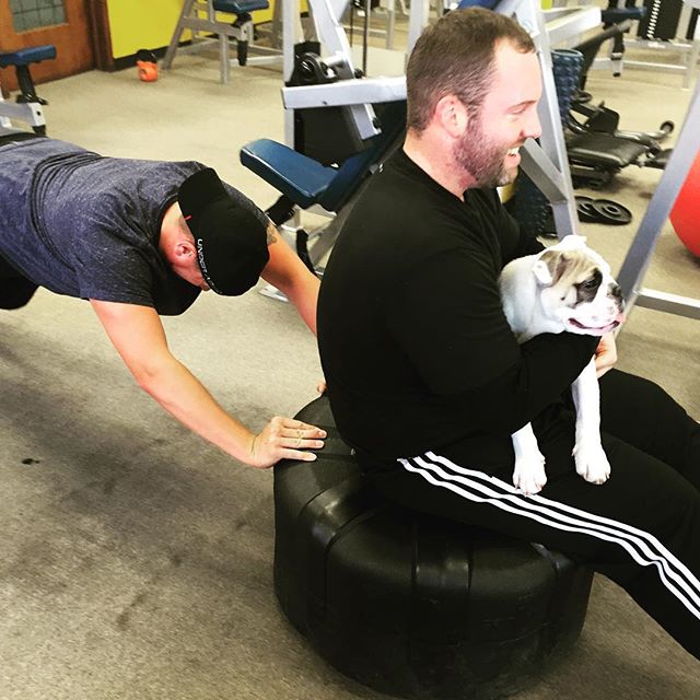 Jared pushing the plate while giving his buddy and his pup a ride. #bootcamp #personaltrainer #gym #denver #colorado #fitness #personaltraining #bodybuilder #bodybuilding #deadlifts #deadlift #glutes #quads #hamstrings #hamstring #squats #squat #lunges #legs #legday #puppy #dog #bulldog #pup #dog #puppies #power #lift #funny #lol