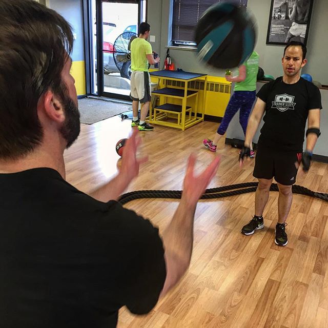 Burpee with a ball throw. Ultra cardio meets hand-eye coordination. #Bootcamp #personaltrainer #gym #denver #colorado #fitness #personaltraining #trainerscott #bodybuilder #bodybuilding #deadlifts #deadlift #glutes #quads #hamstrings #hamstring #hammies #squats #squat #lunges #legs #legday #weightlifting #weighttraining #sport #burpees #strong cardio #sweat