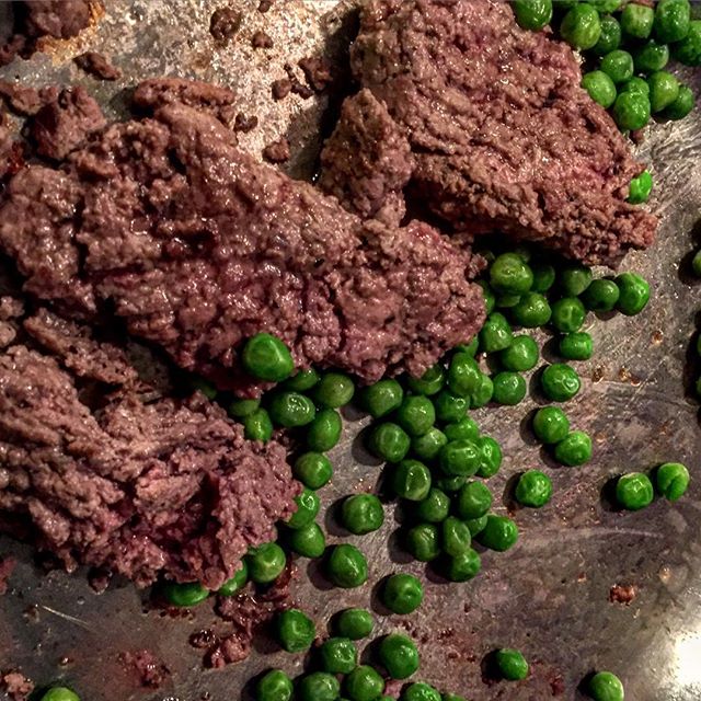 Ground buffalo and green peas for dinner. #dinner #steak #meat #protein #meal #diet #nutrition #health #health #peas #food #foodie #foodporn #foodpics #foodstagram #foodphotography #life #trainer #personaltrainer #fit #fitness #muscles #strength #strong #power #bison #buffalo #beef #mealprep