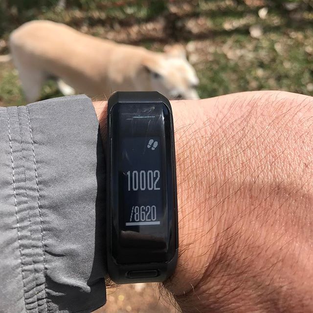 10,000 steps before noon. 20,000 here I come. #personaltrainer #gym #denver #colorado #fitness #personaltraining #fun #bodybuilder #bodybuilding #deadlifts #life #running #quads #girl #woman #fit #squats #squat #lunges #legs #legday #weightlifting #weighttraining #men #sweat #women #cardio #strong #girls