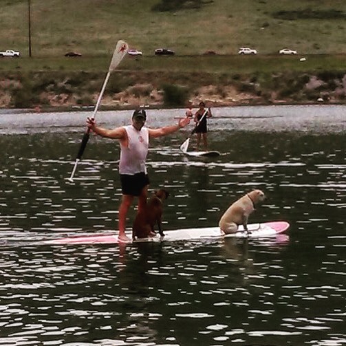 Paddle boarding with two dogs… No problem #denver #colorado #paddleboarding #paddleboard #workout #swimming #lake #water #lakewood #colorado #dogs #dog #swim #bearcreek #sodalake