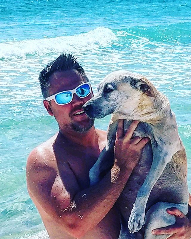 Savannah the beach bunny #Vacation #Beach #Florida #Dog #Dogs #YellowLab #Pensacola #GulfOfMexico #DogsOfInstagram #gulfcoast #doggy #pups #pup #puppy #puppies #fun #sun #tanning #sunburn #sunbathıng #swimming #pensacolabeach #panhandle